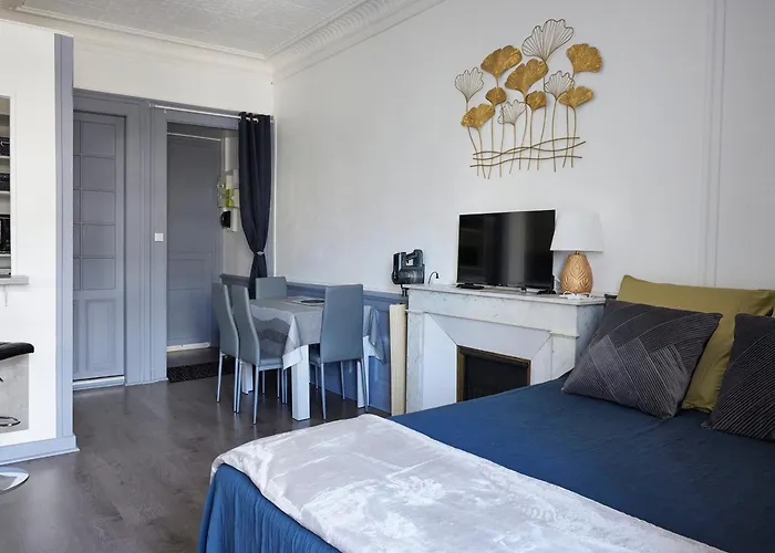 アパート Renove En Centre-ville, Balcon, Animaux Acceptes, Wifi - Fr-1-555-118 エクスレバン